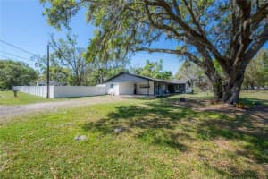 4814 KNIGHTS LOOP, PLANT CITY, FL 33565 - MLS#MFRTB8355494