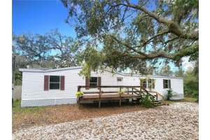 5530 Eureka Springs Rd, TAMPA