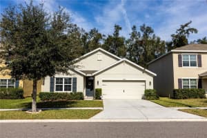 10029 WARM STONE STREET, THONOTOSASSA, FL 33592 Sold 04/11/25