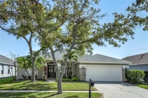 10112 KINGSBRIDGE AVENUE, TAMPA, FL 33626 Sold 04/30/25