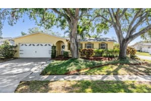 6041 16TH LANE, ST PETERSBURG, FL 33703 - MLS#MFRTB8355592