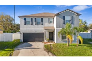 7112 Samuel Ivy Dr, TAMPA