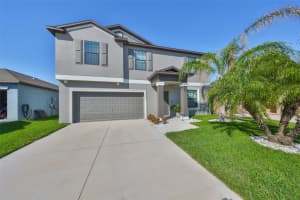 10112 Rose Petal Pl, RIVERVIEW