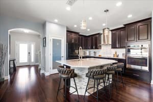 1727 NATURE VIEW DRIVE, LUTZ, FL 33558 Sold 05/09/25