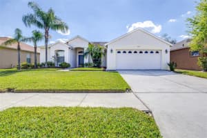 4313 BROOKE DRIVE, VALRICO, FL 33594 Sold 07/01/25