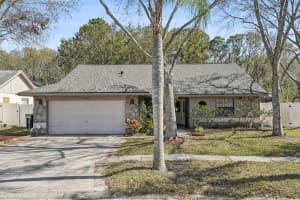 12030 Steppingstone Blvd, TAMPA