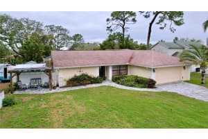 1309 HILLSIDE DRIVE, TARPON SPRINGS, FL 34689 Sold 06/04/25