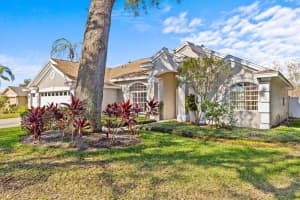 726 HIDDEN LAKE DRIVE, TARPON SPRINGS, FL 34689 Sold 06/10/25