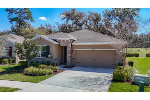 17749 Garsalaso Cir, BROOKSVILLE