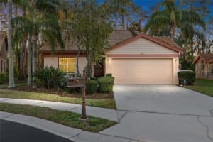 3612 DARSTON STREET, PALM HARBOR, FL 34685 Sold 05/20/25