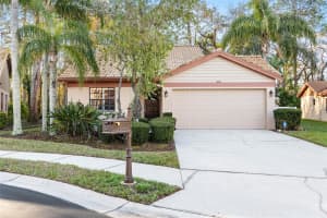 3612 DARSTON STREET, PALM HARBOR, FL 34685 Sold 05/20/25