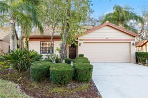 3612 DARSTON STREET, PALM HARBOR, FL 34685 Sold 05/20/25