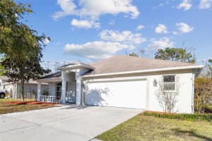 15807 Leatherleaf Ln, LAND O LAKES
