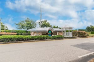 15807 LEATHERLEAF LANE, LAND O LAKES, FL 34638 - MLS#MFRTB8355956