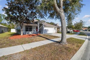 15807 LEATHERLEAF LANE, LAND O LAKES, FL 34638 - MLS#MFRTB8355956