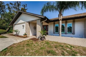 1113 CARLTON ROAD, TARPON SPRINGS, FL 34689 Sold 05/21/25