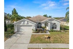 22516 MAGNOLIA TRACE BOULEVARD, LUTZ, FL 33549 Sold 07/24/25