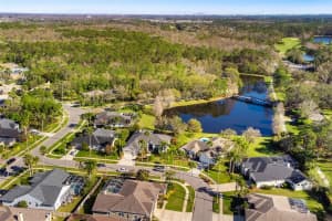 12027 WANDSWORTH DRIVE, TAMPA, FL 33626 Sold 06/04/25