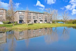 1208 Chatham Pine Pl, BRANDON