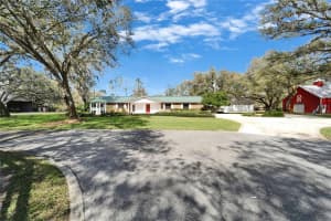 13607 MCINTOSH ROAD, THONOTOSASSA, FL 33592 Sold 04/22/25