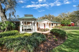 13607 MCINTOSH ROAD, THONOTOSASSA, FL 33592 Sold 04/22/25