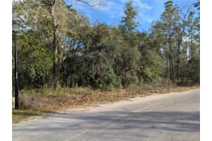 7 COCONUT COURT, HOMOSASSA, FL 34446 Sold 07/25/25