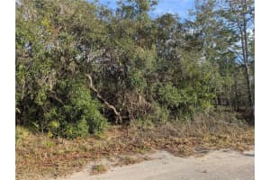 7 COCONUT COURT, HOMOSASSA, FL 34446 Sold 07/25/25