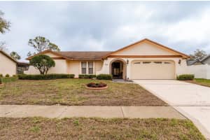 430 WESTFORD, PALM HARBOR, FL 34683 Sold 04/10/25