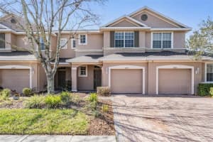 26932 JUNIPER BAY DRIVE, WESLEY CHAPEL, FL 33544 Sold 03/24/25