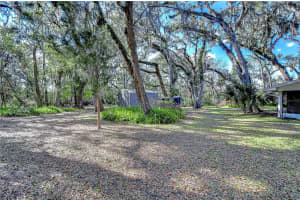 13908 PARADISE LANE, DADE CITY, FL 33525 - MLS#MFRTB8356257