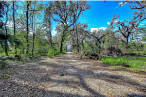 13908 PARADISE LANE, DADE CITY, FL 33525 - MLS#MFRTB8356257