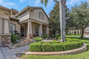 3668 JANUS WAY, PALM HARBOR, FL 34685 Sold 07/23/25