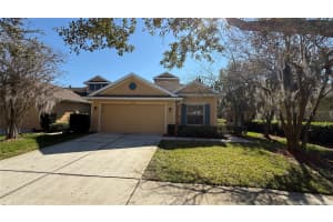 8906 IRON OAK AVENUE, TAMPA, FL 33647 - MLS#MFRTB8356317