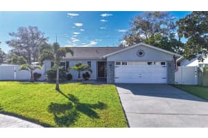 2544 KNOLL STREET, PALM HARBOR, FL 34683 Sold 05/29/25