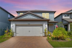 17805 Everlong Dr, LAND O LAKES