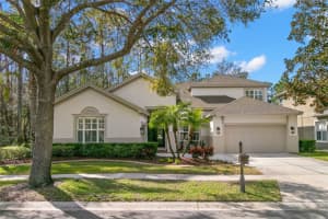 14841 TUDOR CHASE DRIVE, TAMPA, FL 33626 Sold 06/30/25
