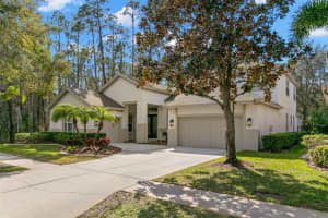 14841 TUDOR CHASE DRIVE, TAMPA, FL 33626 Sold 06/30/25