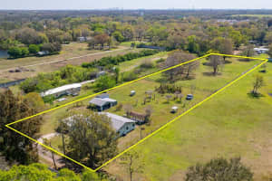 11845 MEADOWDALE DR, TAMPA, FL 33625 Sold 05/08/25