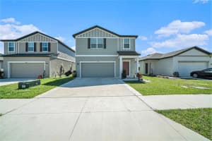 35542 Buttonweed, ZEPHYRHILLS