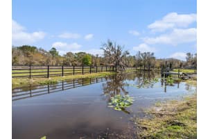 7843 SHOUPE ROAD, PLANT CITY, FL 33565 - MLS#MFRTB8356562