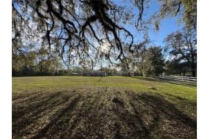18401 HAMILTON ROAD, DADE CITY, FL 33523 - MLS#MFRTB8356606