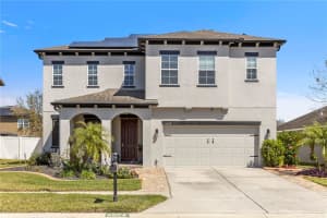 5524 SHASTA DAISY PLACE, LAND O LAKES, FL 34639 Sold 04/29/25