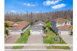 31046 LINDENTREE DRIVE, WESLEY CHAPEL, FL 33543 Sold 06/16/25