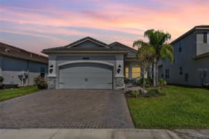 31046 LINDENTREE DRIVE, WESLEY CHAPEL, FL 33543 Sold 06/16/25