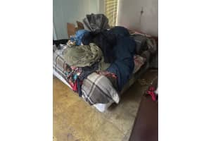 256 PORT ROYAL LANE, APOLLO BEACH, FL 33572 Sold 04/12/25