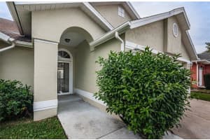 319 WOOD IBIS AVENUE, TARPON SPRINGS, FL 34689 Sold 05/02/25