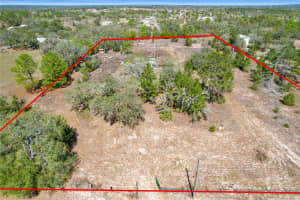 13085 TAYLOR STREET, BROOKSVILLE, FL 34613 - MLS#MFRTB8356766