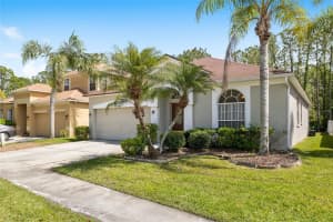 12526 BLAZING STAR DRIVE, TAMPA, FL 33626 Sold 05/30/25