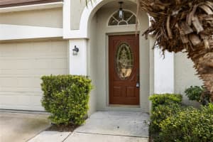 12526 BLAZING STAR DRIVE, TAMPA, FL 33626 Sold 05/30/25