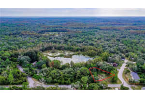 0 MIDVALE AVENUE, NEW PORT RICHEY, FL 34654 - MLS#MFRTB8356778